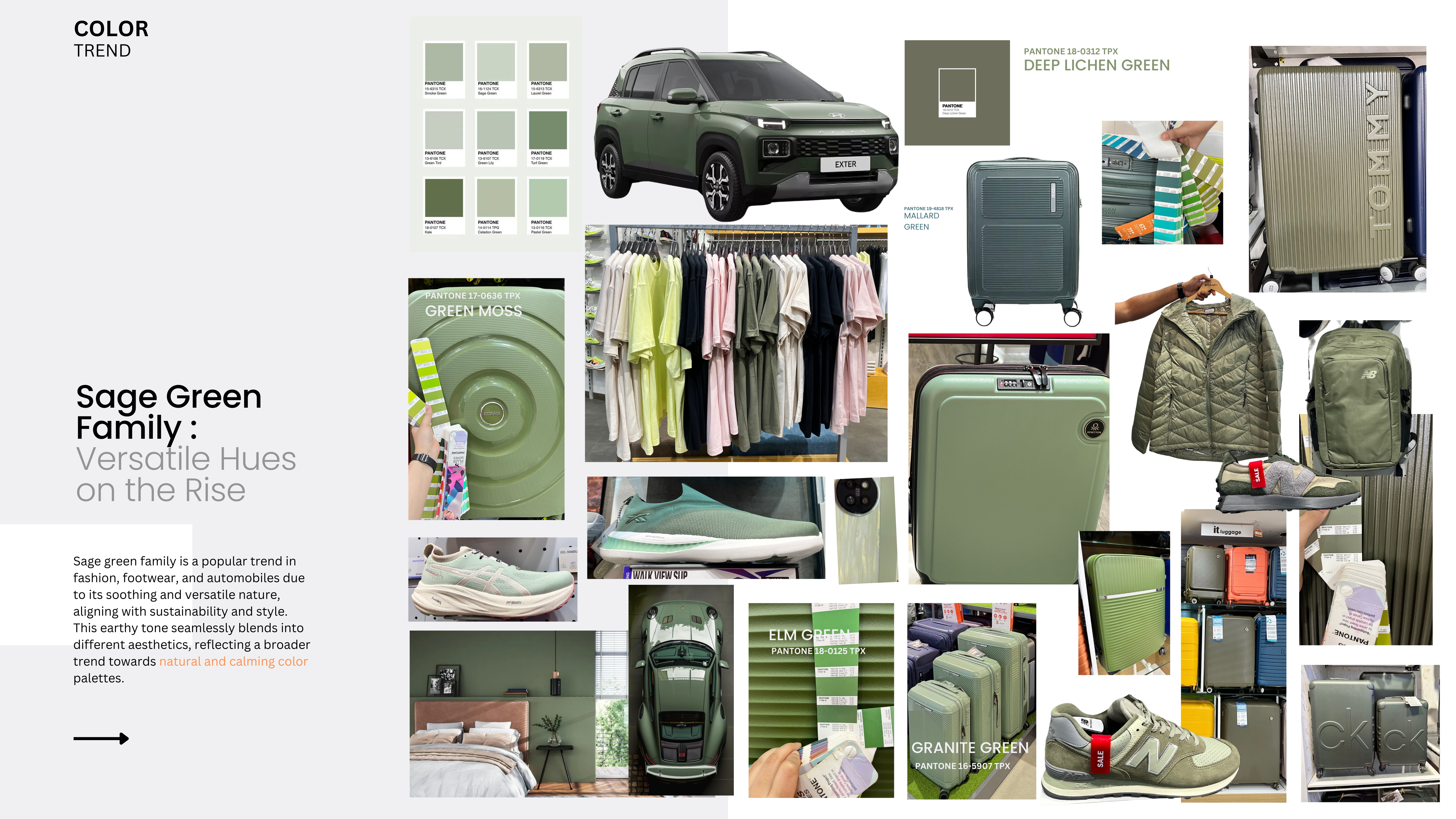 Sage Green Family colour trend board